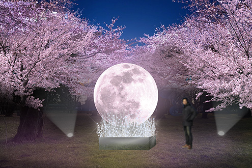 小金井公園「花と光のムーブメント」ライトアップ施工