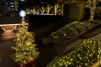 羽田空港　クリスマス装飾2016