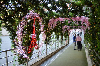 東京タワー　春装飾　2018