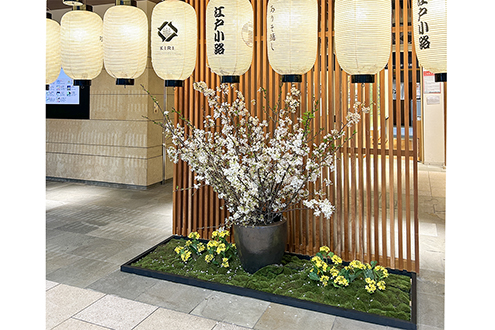 羽田空港国際線　桜装飾