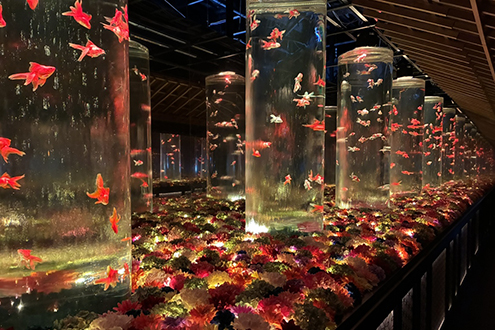 アートアクアリウム美術館 GINZAのメインエリア花演出を担当』