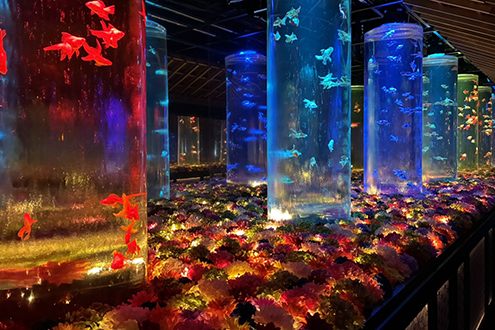 アートアクアリウム美術館 GINZAのメインエリア花演出を担当』