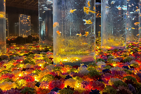 アートアクアリウム美術館 GINZAのメインエリア花演出を担当』