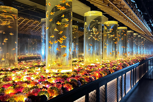 アートアクアリウム美術館 GINZAのメインエリア花演出を担当』